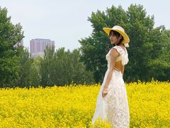 -长白岛森林公园