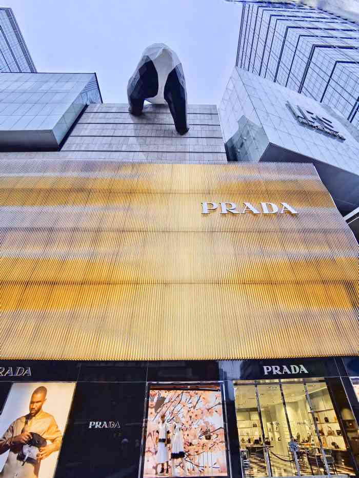 成都ifs-"就是商场.本人比较喜欢楼丁的那个熊猫.天."-大众点评移动版