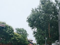 -天津妈祖文化园