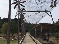 -千岛湖龙川湾