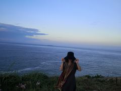 -枸杞岛