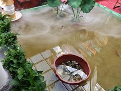 -桃苑居阳澄湖·蟹千恩(美人腿店)