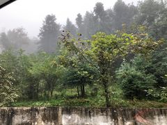 -紫鹊界梯田景区