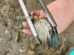 -万尾金滩
