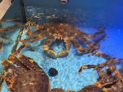 -阿伟海鲜楼·福建菜(延寿店)