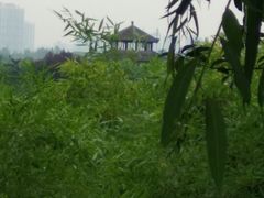 -西安汉城湖景区