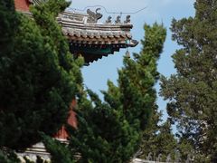 -大钟寺古钟博物馆