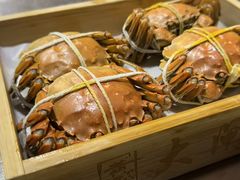 -黄记大闸蟹专卖店·活蟹·醉蟹