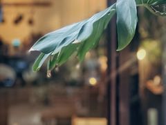 -CAMP.33露营烤肉·团建聚餐(创智天地店)