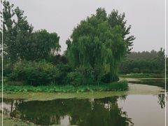 -东郊湿地公园