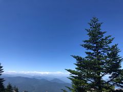 -峨眉山报国寺