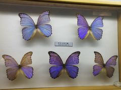 -青藏高原自然博物馆