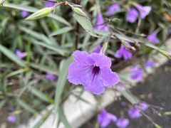 -中国天府农业博览园