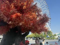 -南昌之星摩天轮