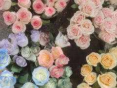 -桂林市花鸟市场