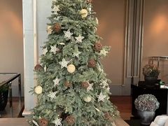 -上海柏悦酒店·大堂客厅