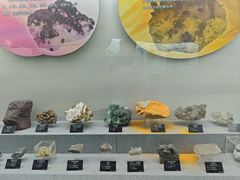 -甘肃地质博物馆