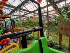 -南宫五洲植物乐园