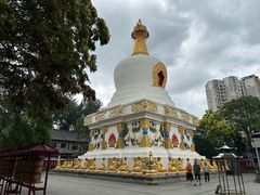 -护国法轮寺
