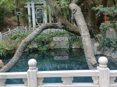 -蝴蝶泉公园