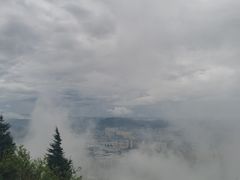 -长虫山生态公园风景林