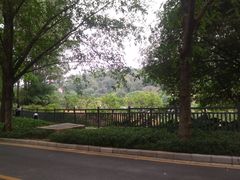 -南国桃园旅游度假区