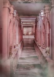 -红丝高端婚礼中心(旗舰店)