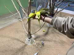 -上海昆虫博物馆