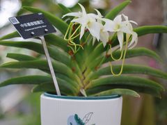 -上海辰山植物园