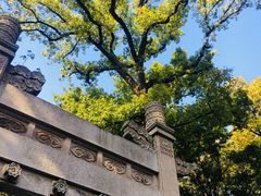 -灵谷景区