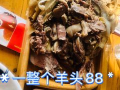 -白羊坡