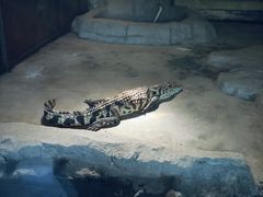-哈尔滨北方森林动物园