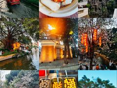 -荔湾湖公园