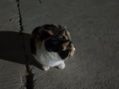 -泉州海丝野生动物世界