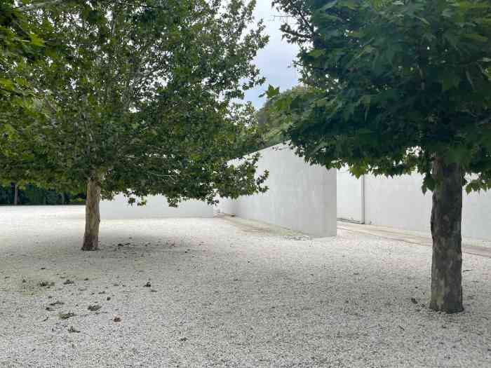 外面拍照是必须的事情!约会吃饭良地 就是地方有些难找