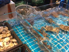-九月海·海鲜自助(世纪东方店)