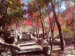 -崂山巨峰游览区