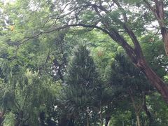 -人民公园(罗湖区)