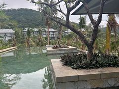 -日落吧·海景咖啡厅·餐酒吧·鸡尾酒·下午茶·乐队表演·浪漫夕阳·三亚文华东方酒店