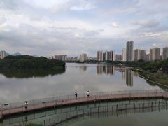 -飞来湖湿地公园