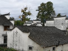 -塔川景区