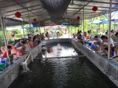 -小象钓虾·营地烧烤(洛溪店)