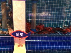 -乔哥铭洋海鲜自助(皇城恒隆广场店)