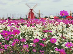 -南通鲜花小镇