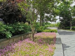 -上海滴水湖皇冠假日酒店