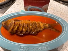 -阿五黄河大鲤鱼(英协路店)