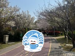 -尚贤河湿地