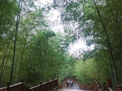 -陶祖圣境风景区