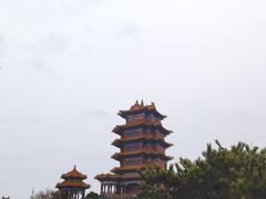 -宾朋海鲜饭庄(兴海路店)