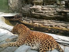 -贵州森林野生动物园
